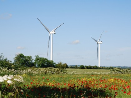 Pela transição ecológica e democrática