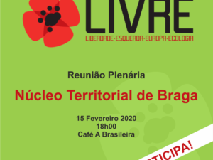15 de fevereiro – Plenário em Braga