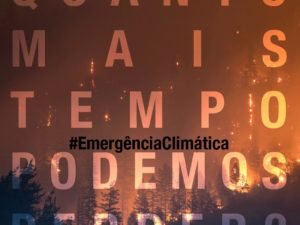 Emergência Climática: um ano depois, continua tudo por fazer