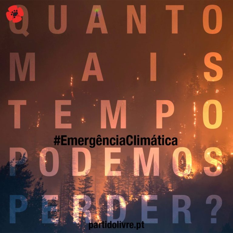 Emergência Climática: um ano depois, continua tudo por fazer – LIVRE