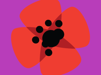 Dia Internacional da Mulher – 8 de Março