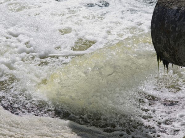 No Dia Mundial da Água, o LIVRE alerta para crise ambiental no Rio Nabão