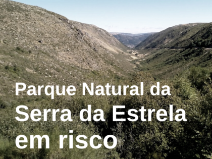 O Parque Natural da Serra da Estrela está em risco