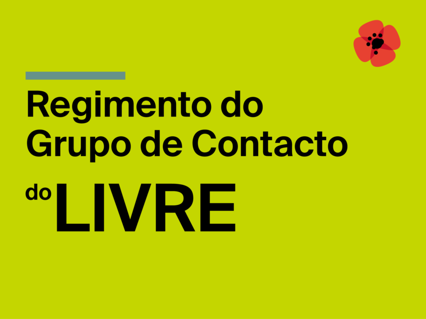 Regimento do Grupo de Contacto