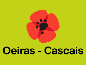 Resultados da eleição para o Núcleo Territorial de Oeiras/ Cascais
