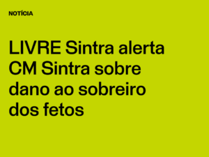 LIVRE Sintra alerta CM Sintra sobre dano ao sobreiro dos fetos