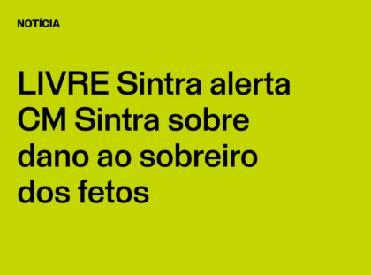 LIVRE Sintra alerta CM Sintra sobre dano ao sobreiro dos fetos