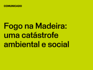 Fogo na Madeira: uma catástrofe ambiental e social