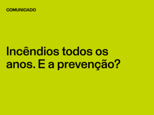 Incêndios todos os anos. E a prevenção?