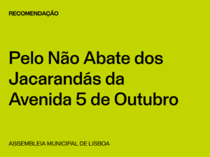 Lisboa: Pelo Não Abate dos Jacarandás da Avenida 5 de Outubro