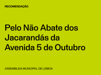 Lisboa: Pelo Não Abate dos Jacarandás da Avenida 5 de Outubro