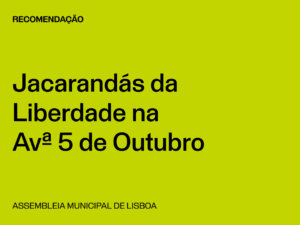Lisboa: Jacarandás da Liberdade na Avenida 5 de Outubro