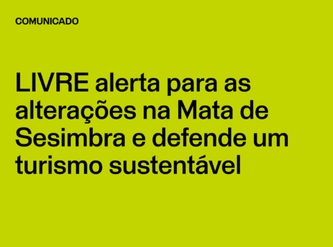 Comunicado: LIVRE alerta para as alterações na Mata de Sesimbra e defende um turismo sustentável