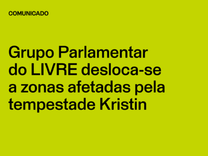 Grupo Parlamentar do LIVRE desloca-se a zonas afetadas pela tempestade Kristin