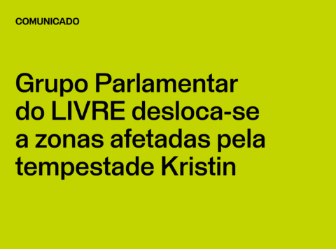 Comunicado: Grupo Parlamentar do LIVRE desloca-se a zonas afetadas pela tempestade Kristin