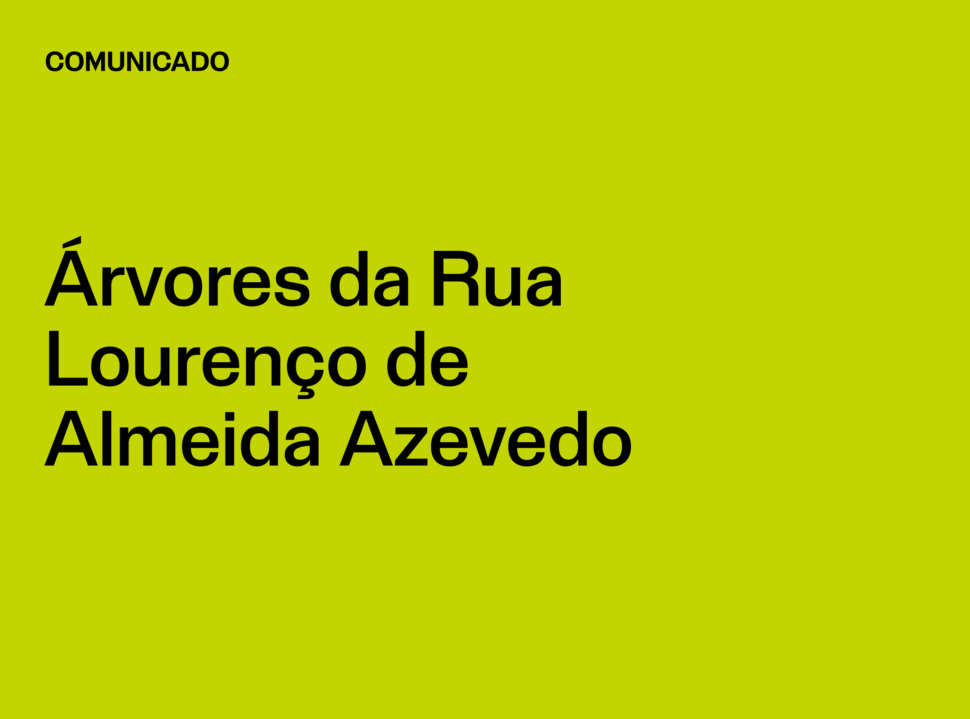 Comunicado: Árvores da Rua Lourenço de Almeida Azevedo